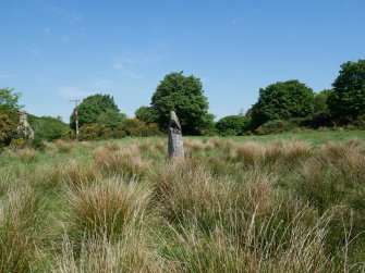 Digital photograph of rock art panel context, Scotland's Rock Art Project, Craigberoch, Bute, Argyll and Bute