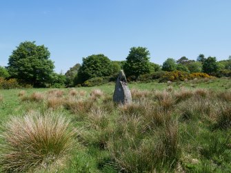 Digital photograph of rock art panel context, Scotland's Rock Art Project, Craigberoch, Bute, Argyll and Bute