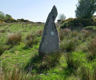 Digital photograph of panel, from Scotland's Rock Art Project, Craigberoch, Bute, Argyll and Bute