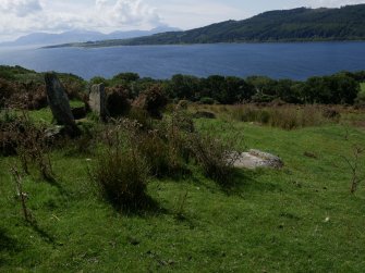 Digital photograph of panel in context without scale, from Scotland's Rock Art Project, Glenvoidean 2, Bute, Argyll and Bute