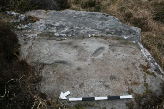 Digital photograph of panel, from Scotland's Rock Art Project, Muclich Hill 1, Bute, Argyll and Bute