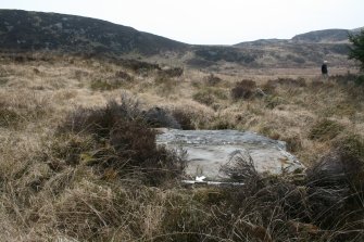 Digital photograph of panel to south-east, from Scotland's Rock Art Project, Muclich Hill 1, Bute, Argyll and Bute