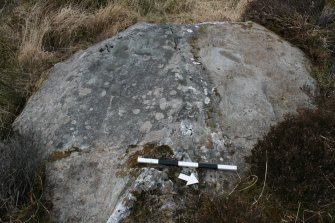 Digital photograph of perpendicular to carved surface(s), from Scotland's Rock Art Project, Muclich Hill 1, Bute, Argyll and Bute