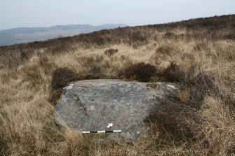 Digital photograph of panel to north-west, from Scotland's Rock Art Project, Muclich Hill 1, Bute, Argyll and Bute