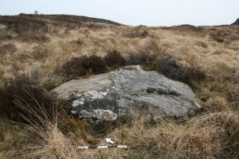 Digital photograph of panel to north-east, from Scotland's Rock Art Project, Muclich Hill 1, Bute, Argyll and Bute