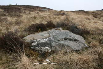 Digital photograph of rock art panel context, Scotland's Rock Art Project, Muclich Hill 1, Bute, Argyll and Bute