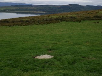 Digital photograph of panel in context without scale, from Scotland's Rock Art Project, Scarrel 4, Bute, Argyll and Bute