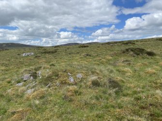 Cairns within cairnfield, Easton-Medwin north