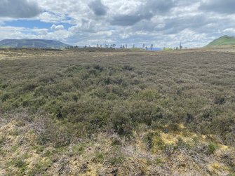 Heather-grown cairns, N of field boundary