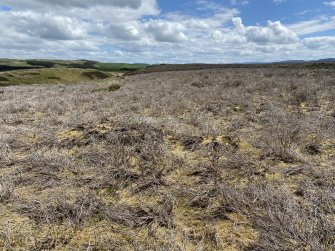 Heather grown cairns after burning, N of field boundary