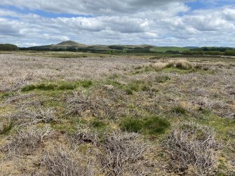 Cairns S of field boundary