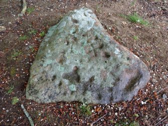 Digital photograph of panel, Scotland's Rock Art Project, Migvie, Aberdeenshire