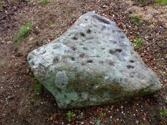 Digital photograph of panel, Scotland's Rock Art Project, Migvie, Aberdeenshire