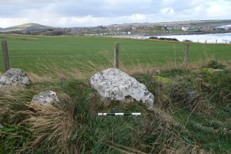 Digital photograph of panel to west, from Scotland's Rock Art Project, Rosehall, Aberdeenshire