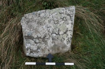 Digital photograph of perpendicular to carved surface(s), from Scotland's Rock Art Project, Rosehall, Aberdeenshire