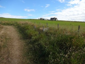 Digital photograph of rock art panel context, Scotland's Rock Art Project, Rosehall, Aberdeenshire