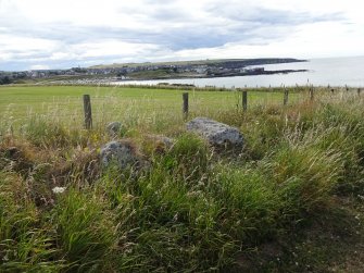 Digital photograph of rock art panel context, Scotland's Rock Art Project, Rosehall, Aberdeenshire