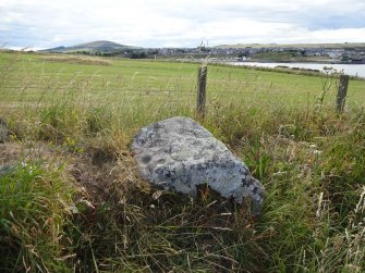 Digital photograph of rock art panel context, Scotland's Rock Art Project, Rosehall, Aberdeenshire