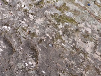 Digital photograph of rock art panel context, Scotland's Rock Art Project, Achnabreck 10, Kilmartin, Argyll and Bute