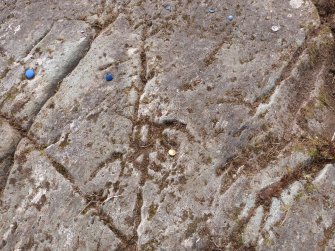 Digital photograph of rock art panel context, Scotland's Rock Art Project, Achnabreck 10, Kilmartin, Argyll and Bute