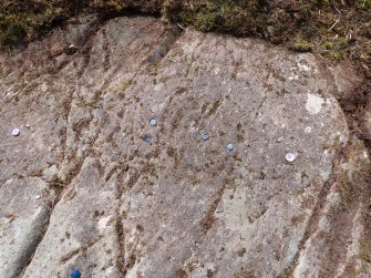 Digital photograph of rock art panel context, Scotland's Rock Art Project, Achnabreck 10, Kilmartin, Argyll and Bute