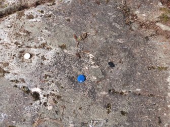 Digital photograph of rock art panel context, Scotland's Rock Art Project, Achnabreck 10, Kilmartin, Argyll and Bute