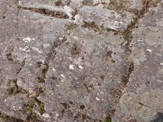 Digital photograph of rock art panel context, Scotland's Rock Art Project, Achnabreck 10, Kilmartin, Argyll and Bute