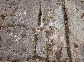 Digital photograph of rock art panel context, Scotland's Rock Art Project, Achnabreck 10, Kilmartin, Argyll and Bute