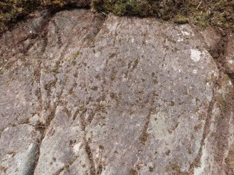 Digital photograph of rock art panel context, Scotland's Rock Art Project, Achnabreck 10, Kilmartin, Argyll and Bute