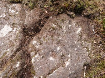 Digital photograph of rock art panel context, Scotland's Rock Art Project, Achnabreck 10, Kilmartin, Argyll and Bute