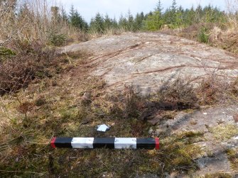 Digital photograph of rock art panel context, Scotland's Rock Art Project, Achnabreck 10, Kilmartin, Argyll and Bute