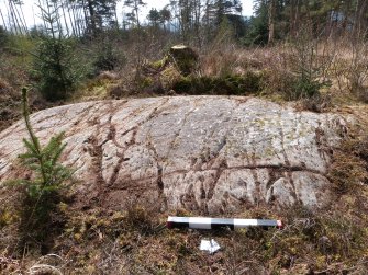 Digital photograph of panel to west, from Scotland's Rock Art Project, Achnabreck 10, Kilmartin, Argyll and Bute