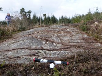 Digital photograph of panel, from Scotland's Rock Art Project, Achnabreck 10, Kilmartin, Argyll and Bute