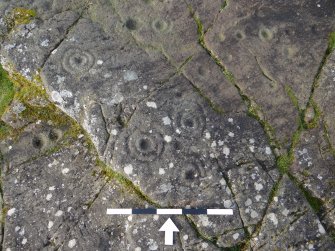 Digital photograph of close ups of motifs, from Scotland's Rock Art Project, Baluachraig 1, Kilmartin, Argyll and Bute