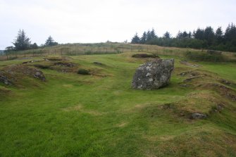 Digital photograph of rock art panel in context without scale, Scotland's Rock Art Project, Cairnbaan 1, Kilmartin, Argyll and Bute