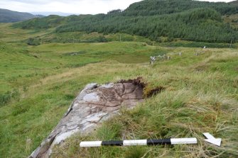 Digital photograph of panel to west, Scotland's Rock Art Project, Carnassarie Farm 3, Kilmartin, Argyll and Bute