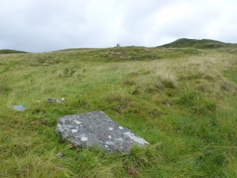 Digital photograph of panel before cleaning, from Scotland's Rock Art project, Carnassarie Farm, 6, Argyll And Bute