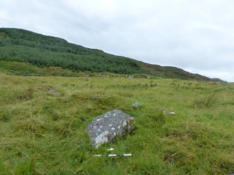 Digital photograph of panel to west, from Scotland's Rock Art project, Carnassarie Farm, 6, Argyll And Bute