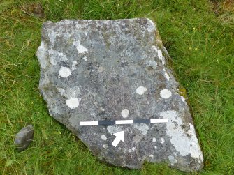 Digital photograph of perpendicular to carved surface(s), from Scotland's Rock Art project, Carnassarie Farm, 6, Argyll And Bute
