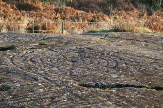 Digital photographs of rock art panel context, Scotland's Rock Art Project, Achnabreck 2, Kilmartin, Argyll and Bute