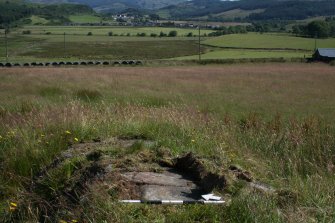 Digital photograph of rock art panel context, Scotland's Rock Art Project, Dunamuck 1, Kilmartin, Argyll and Bute