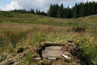 Digital photograph of rock art panel context, Scotland's Rock Art Project, Dunamuck 1, Kilmartin, Argyll and Bute