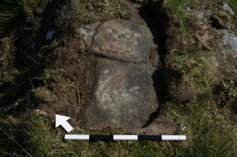 Digital photograph of perpendicular to carved surface(s), from Scotland's Rock Art Project, Dunamuck 1, Kilmartin, Argyll and Bute
