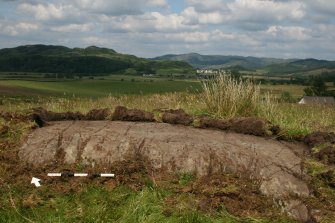 Digital photograph of rock art panel to north, Scotland's Rock Art Project, Dunamuck 4, Kilmartin, Argyll and Bute