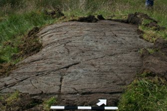 Digital photograph of rock art panel context, Scotland's Rock Art Project, Dunamuck 4, Kilmartin, Argyll and Bute