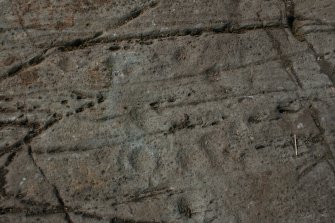 Digital photograph of close ups of motifs, from Scotland's Rock Art Project, Dunamuck 4, Kilmartin, Argyll and Bute