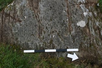 Digital photograph of perpendicular to carved surface(s), from Scotland's Rock Art Project, Dunamuck Cottages 1, Kilmartin, Argyll and Bute
