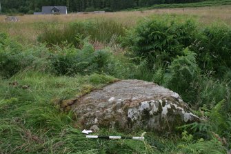 Digital photograph of panel in context with scale, from Scotland's Rock Art Project, Dunamuck Cottages 1, Kilmartin, Argyll and Bute