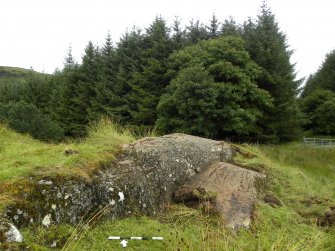 Digital photograph of panel to north, from Scotland's Rock Art Project, Glasvaar 7, Kilmartin, Argyll and Bute