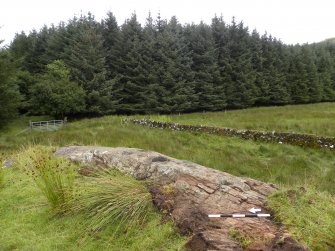 Digital photograph of panel to east, from Scotland's Rock Art Project, Glasvaar 7, Kilmartin, Argyll and Bute